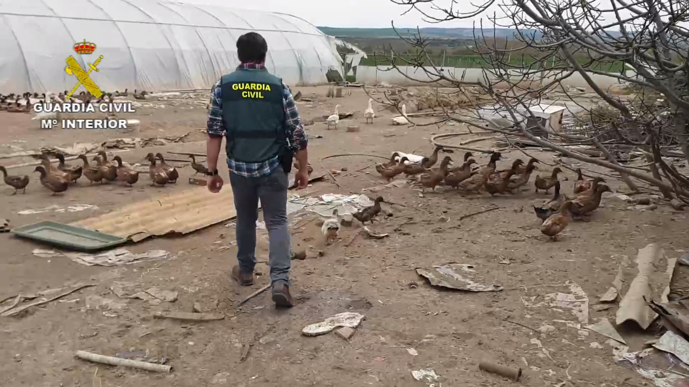 Imagen del matadero clausurado.