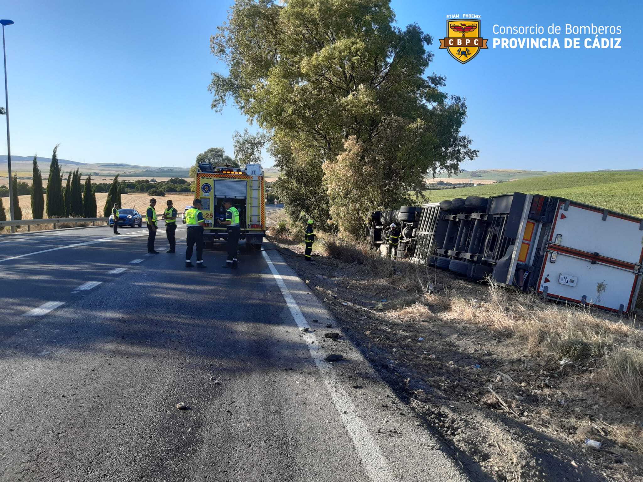 El camión volcado en la A-393 que une Espera con Arcos.