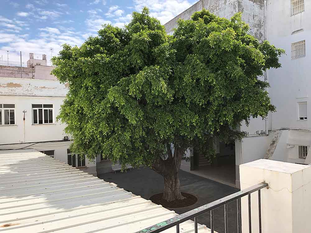 Patio del centro de artes escénicas de Arbolí.