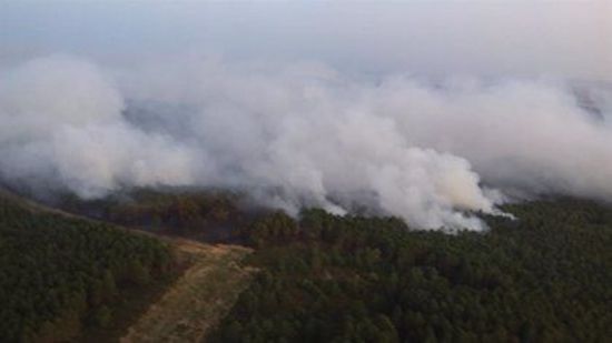 Incendio en Sierra de la Culebra, Zamora.