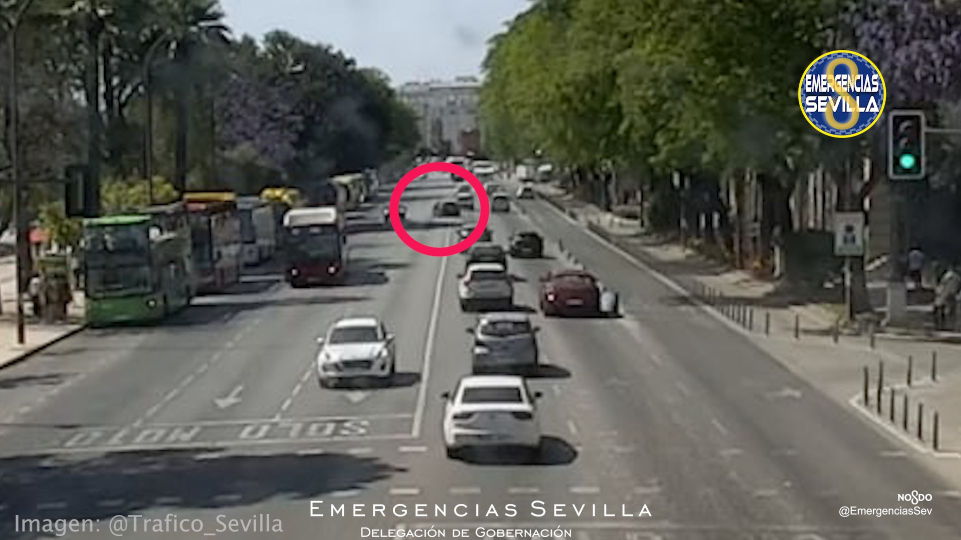 Uno de los casos de la posible red de conductores kamikazes que se está investigando en Sevilla.