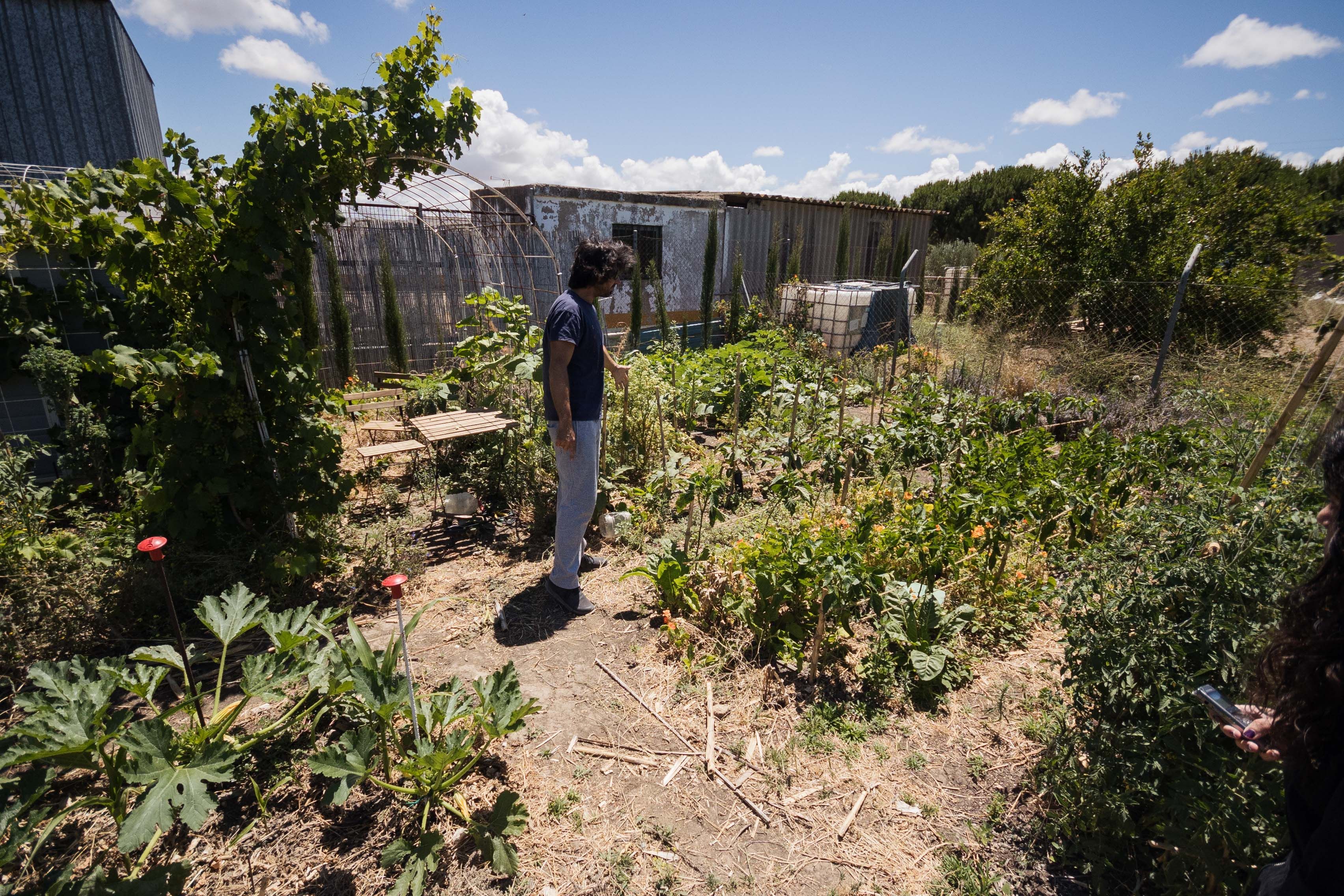 El serbio enseña cómo ha distribuido cada ser vivo por el terreno.