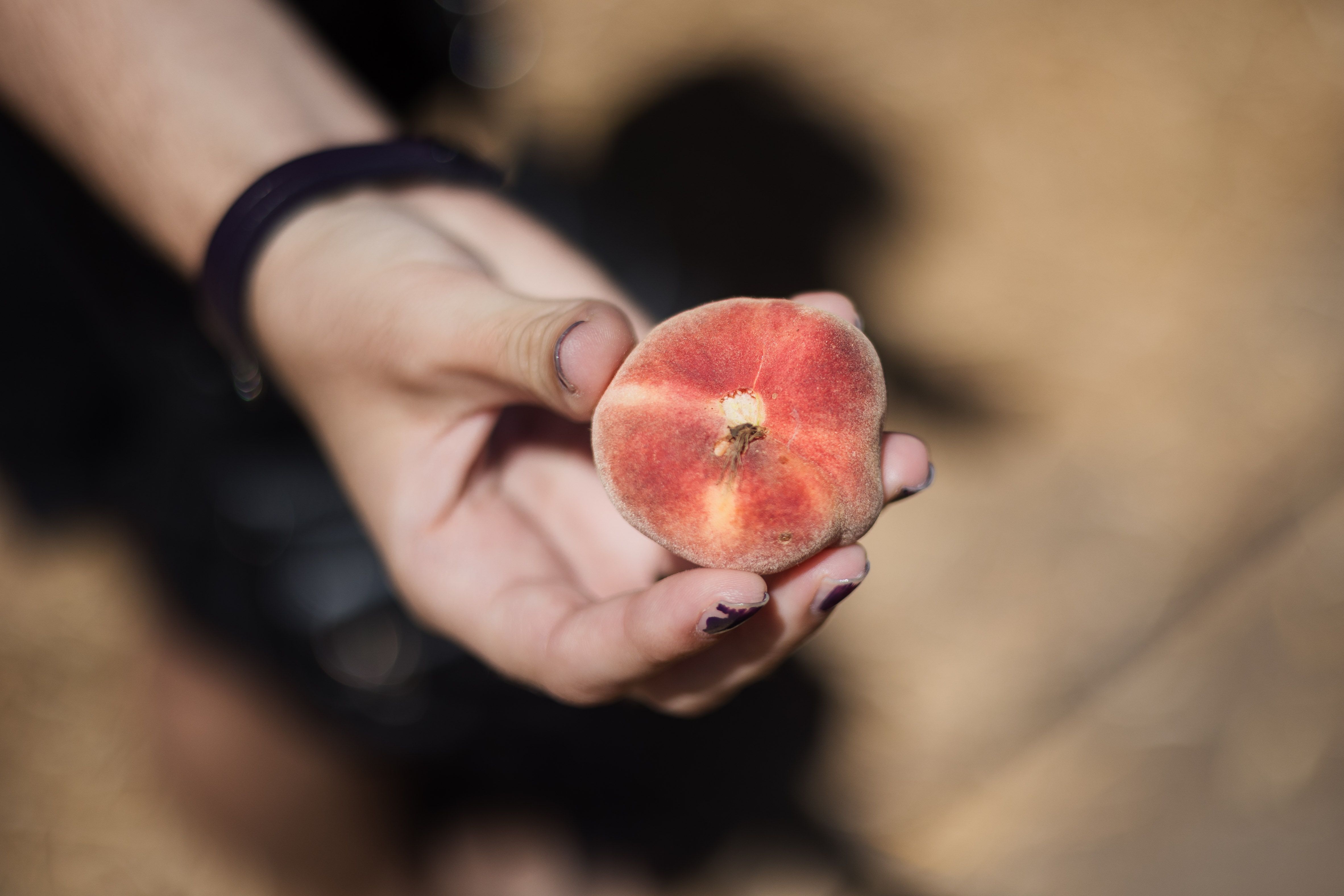 Un fruto recogido del bosque comestible.