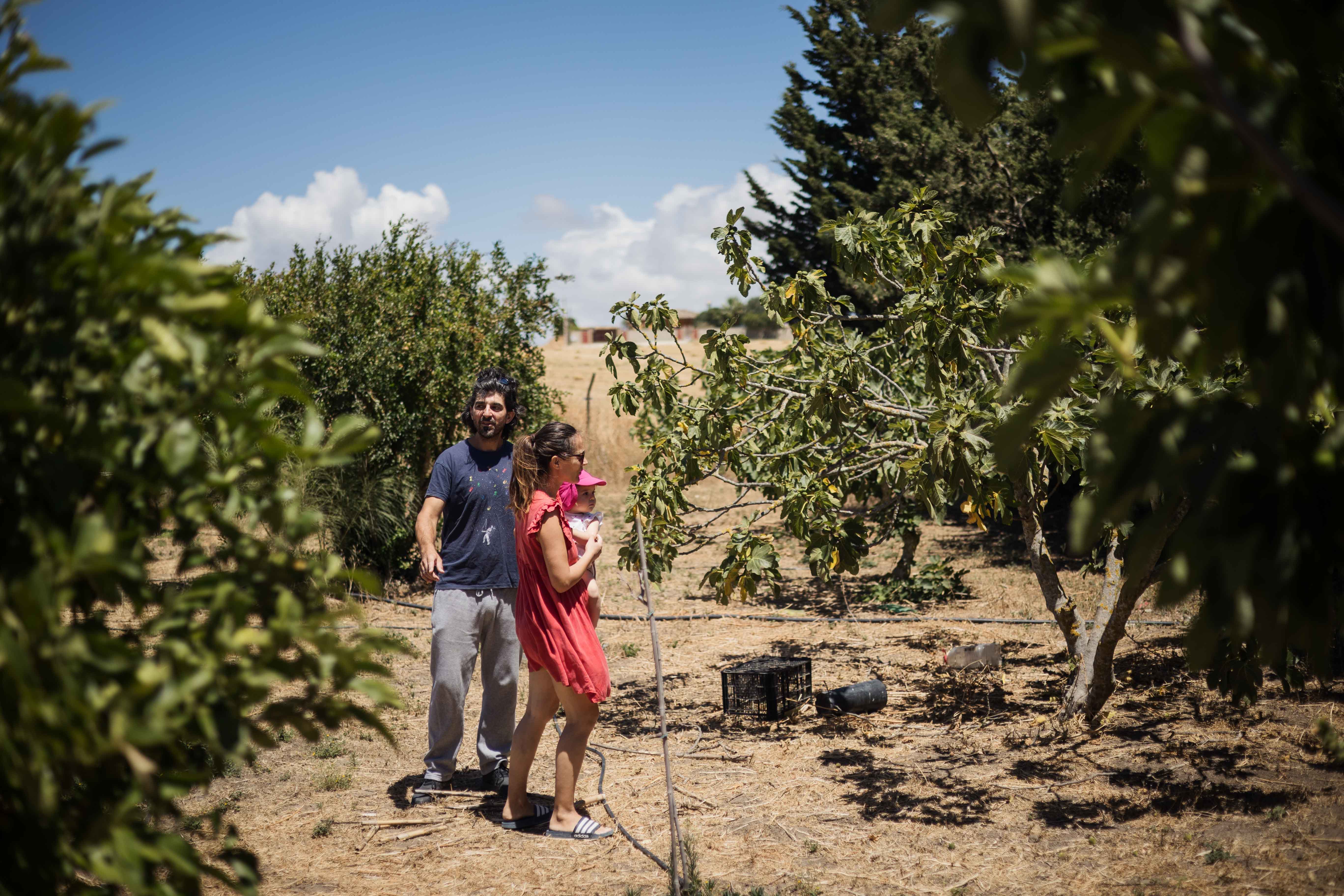 Una zona de la finca del matrimonio.
