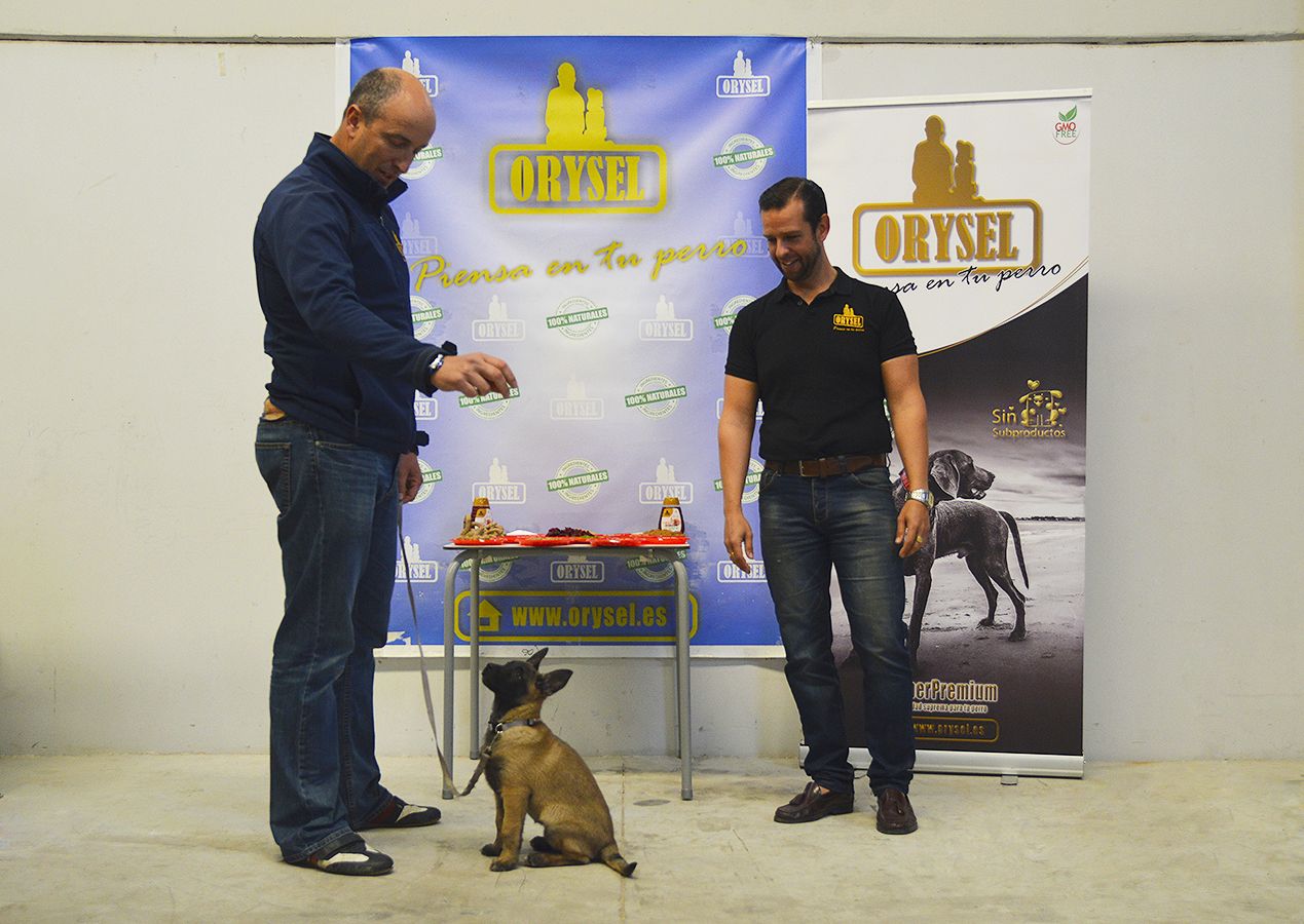 El empresario Juan José Ortega Rivero, el guía canino Agustín Alonso y su perra Alpha. FOTO: ALEJANDRO LÓPEZ