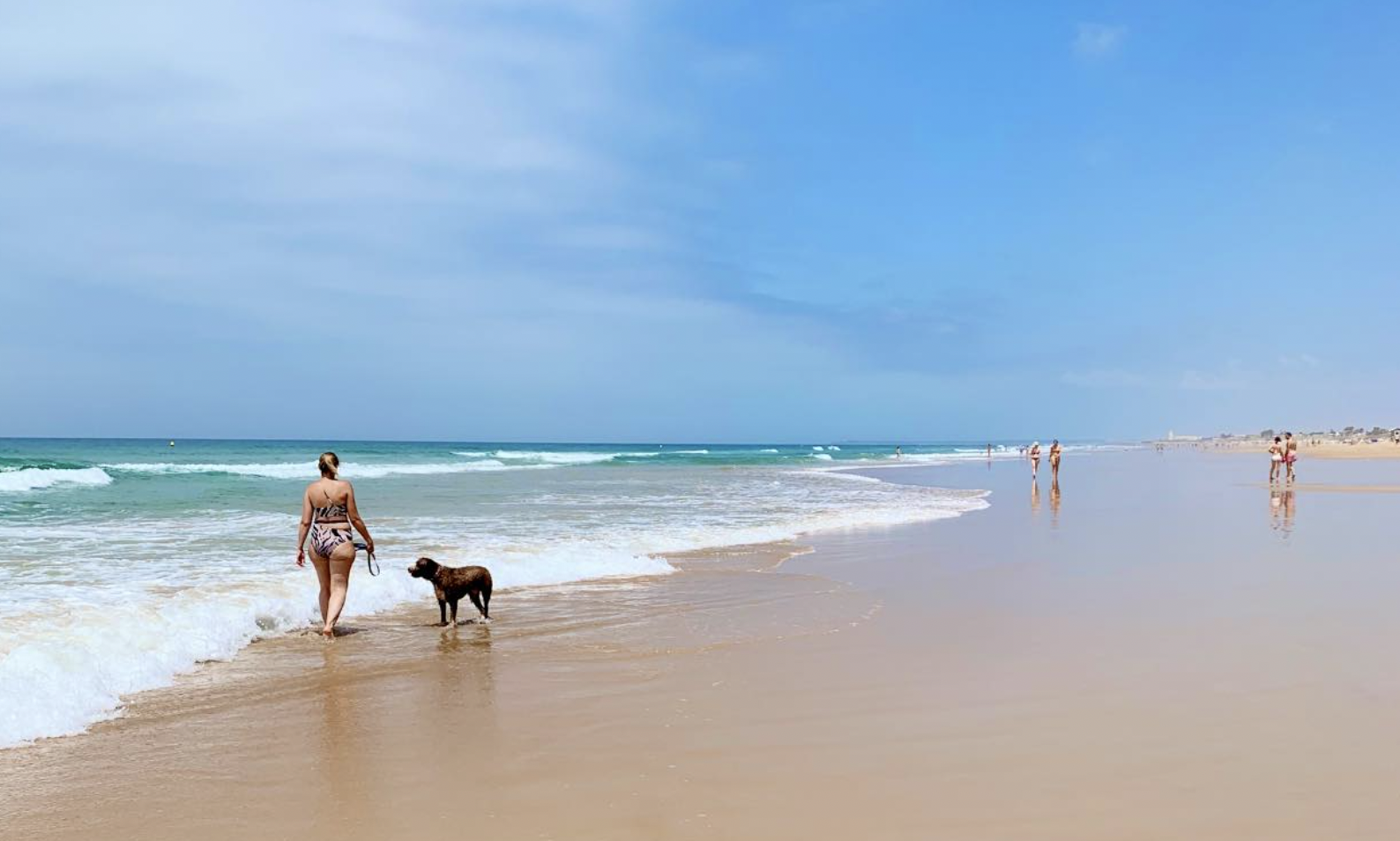 Matrona Golpe fuerte Solenoide 4 playas 'pet friendly' para disfrutar con las mascotas en la provincia de  Cádiz