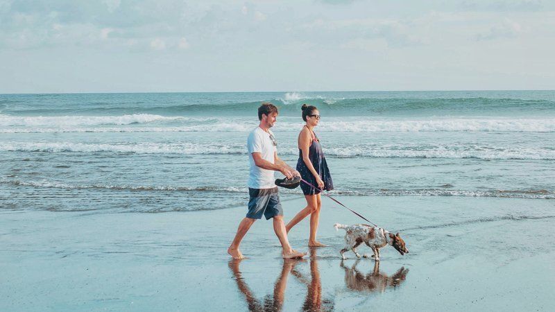 Recogen firmas para que Sanlúcar tenga horarios para pasear perros por las playas.