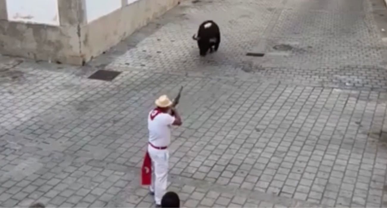 Momento de la ejecución pública de uno de los dos toros.