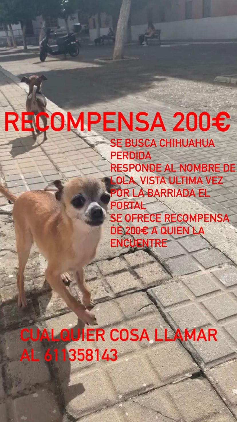 Fotografía compartida en Facebook.