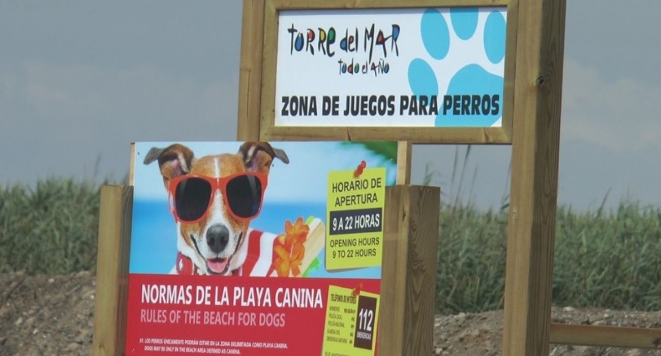 La playa canina de Torre del Mar, una de las 17 para poder llevar a tu perro en Andalucía. 