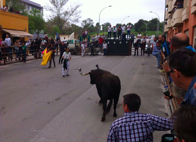 Una imagen del Toro Embolao de Los Barrios. FOTO: PEÑA CULTURAL TAURINA TORO EMBOLAO. 