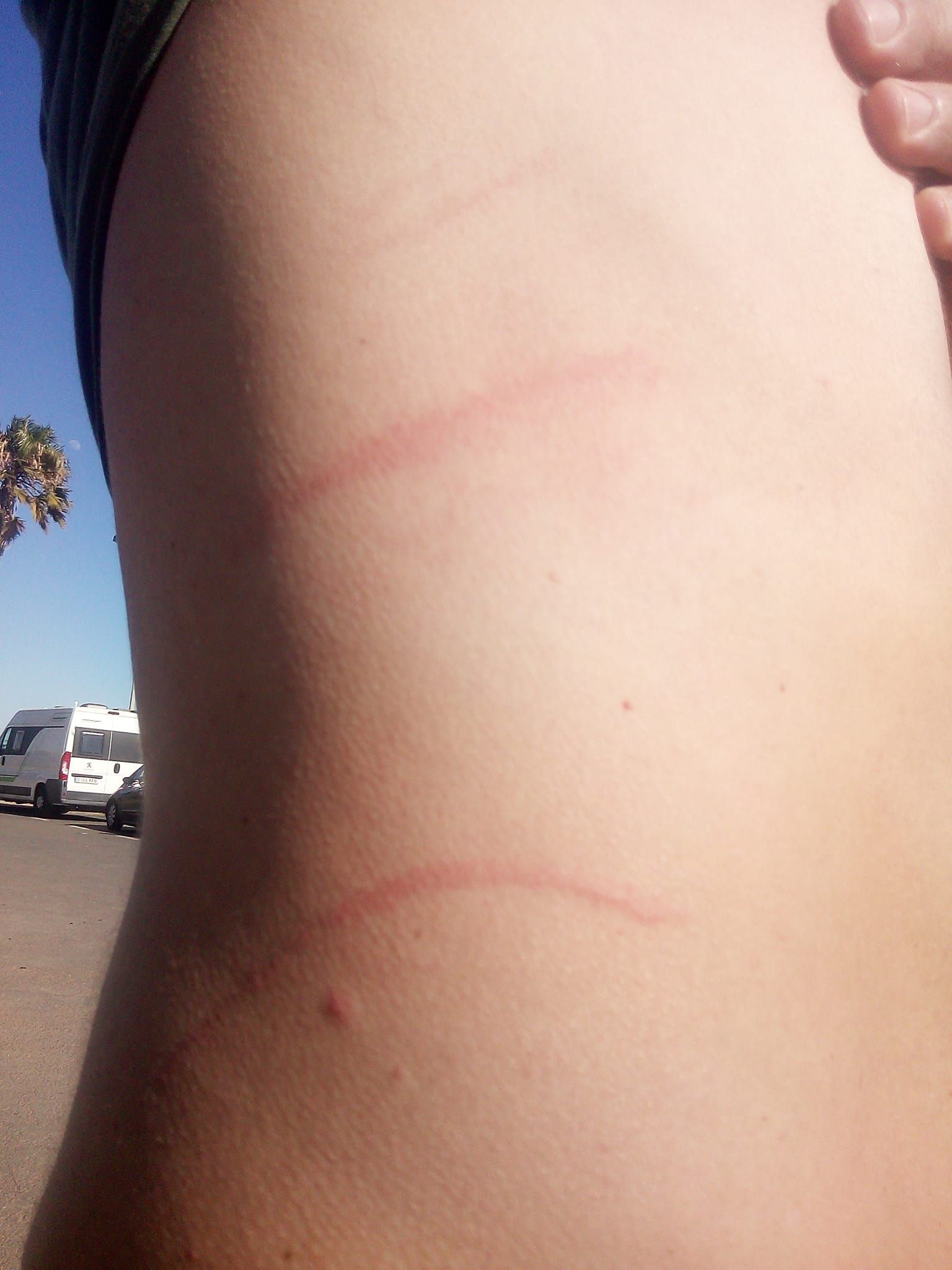 Imagen compartida por el vecino en 'Facebook'.