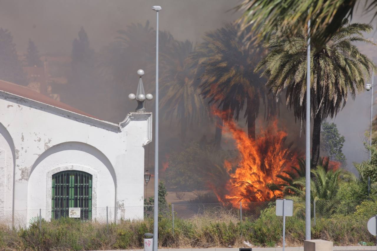 Llamas en las inmediaciones de Rancho Croft en Jerez, este lunes.