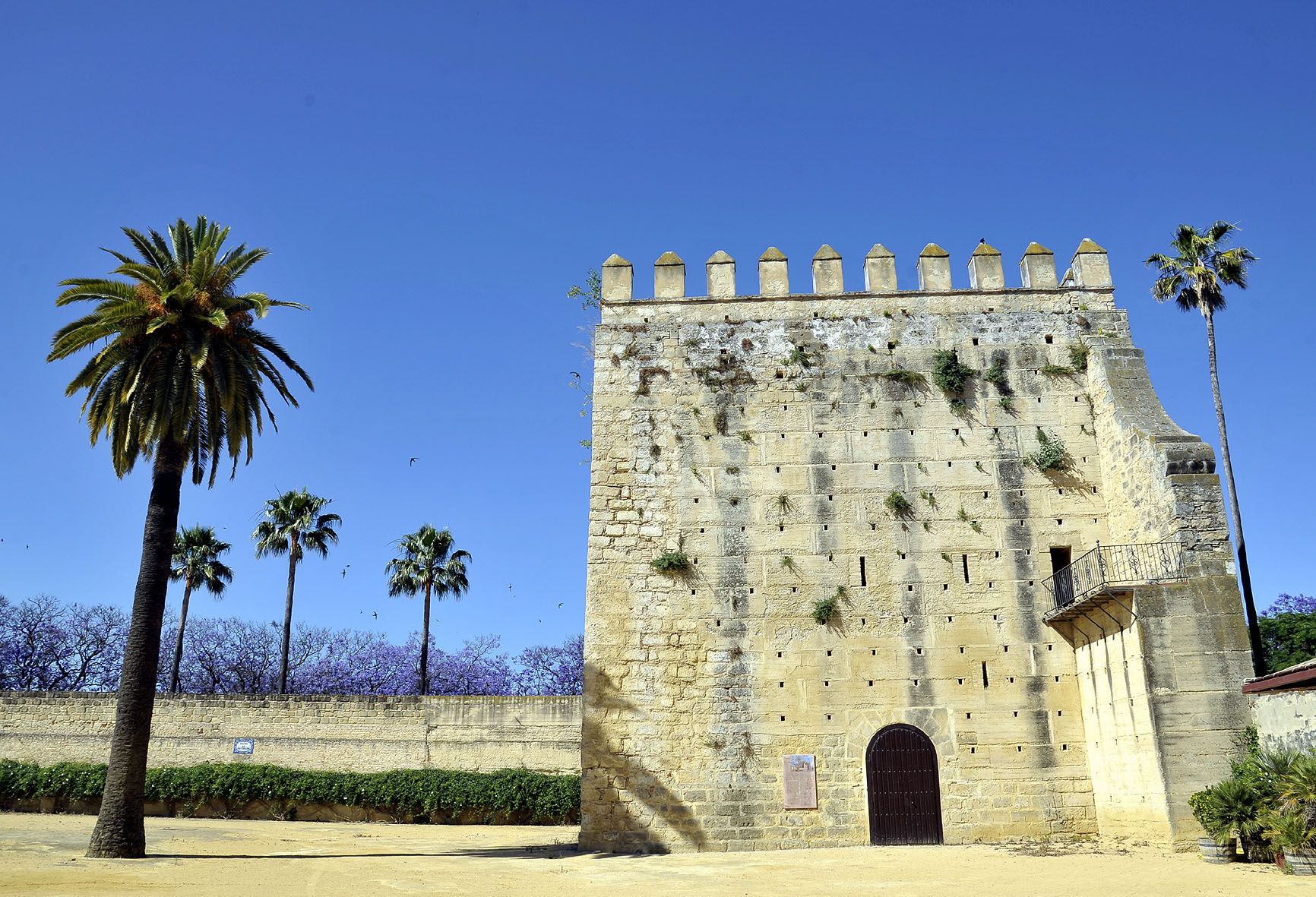 Cómo visitar la Torre de los Ponce de León: otra joya oculta del Alcázar de Jerez.
