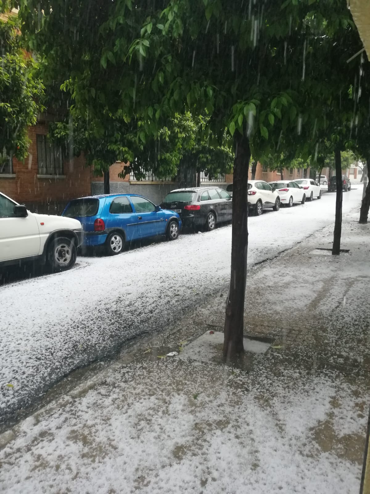 Una calle de Sevilla, cubierta de blanco este jueves. Foto: lavozdelsur.es