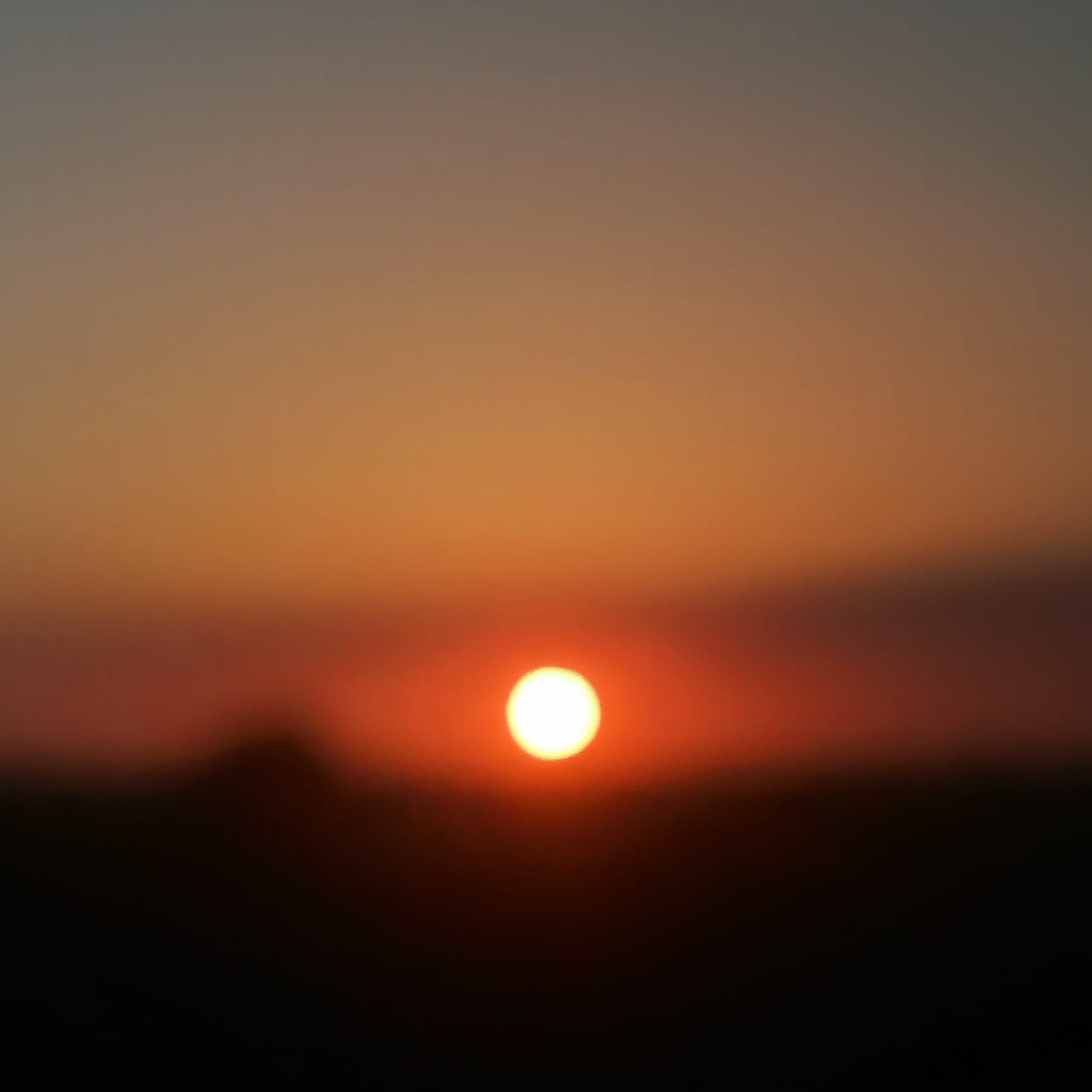 El viajero sin viaje.