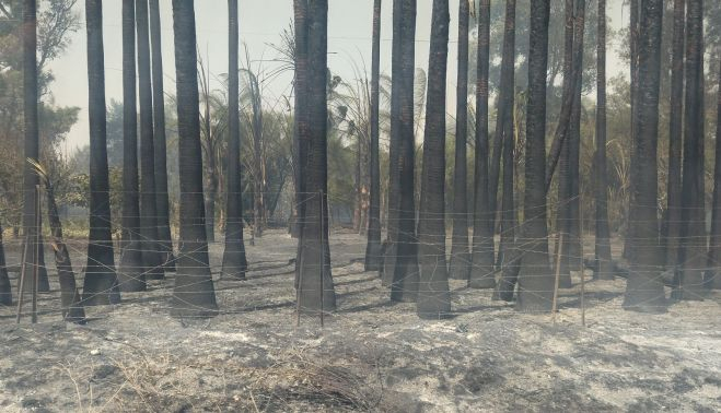 WhatsApp Image 2022 07 13 at 4.18.26 PM