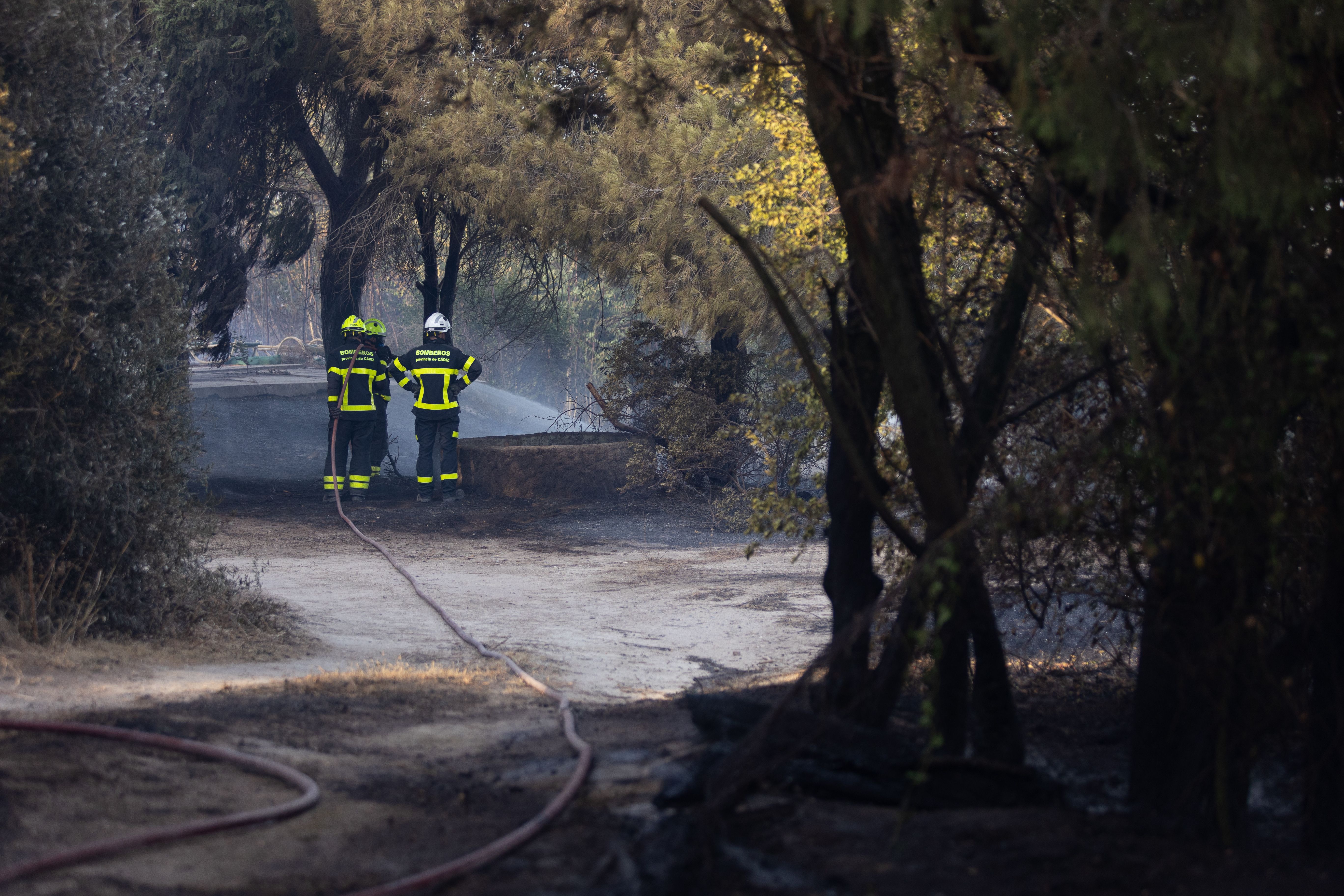 Bomberos se emplearon a fondo. 
