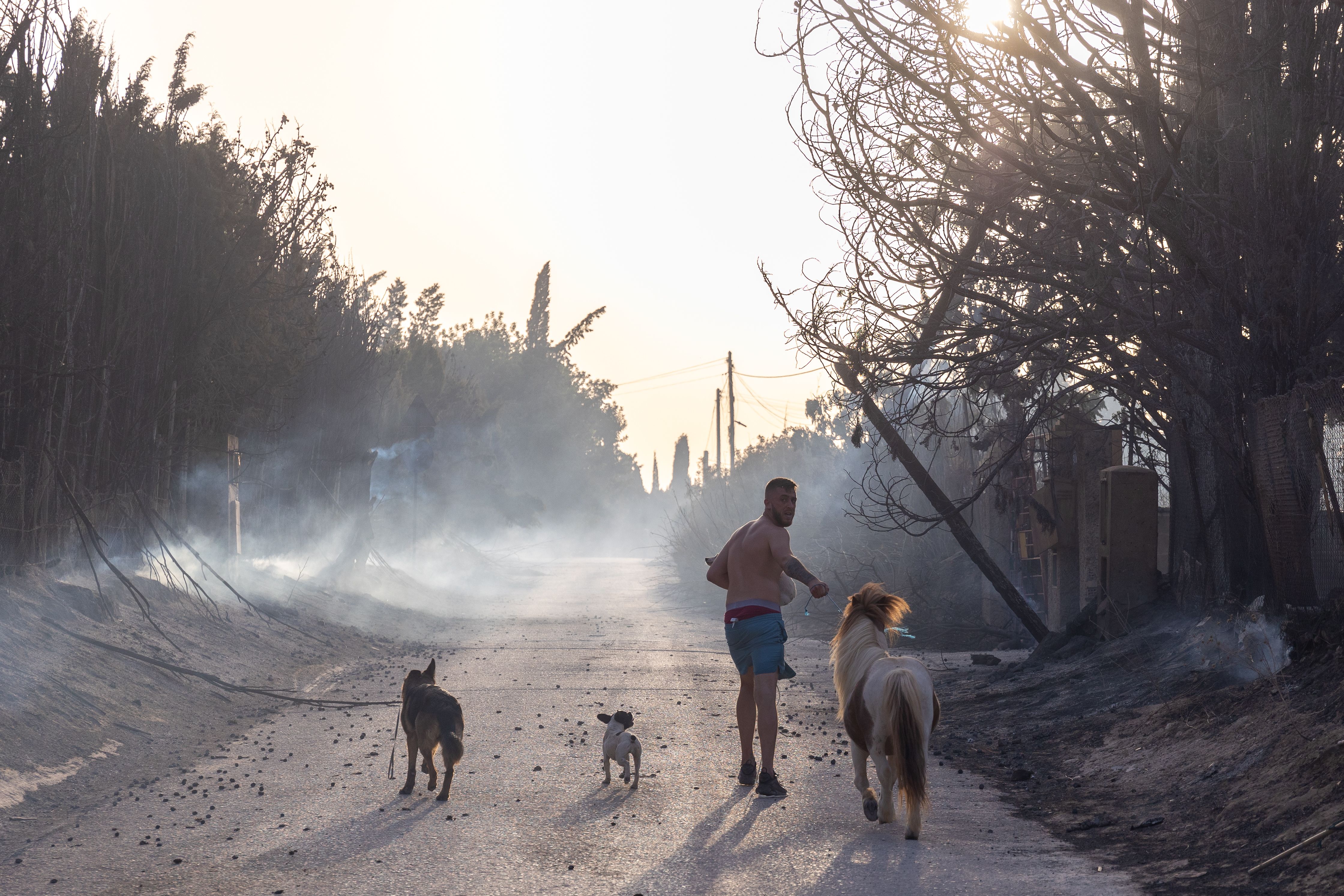 Un hombre intenta poner a salvo a sus perros en el incendio forestal de Lomopardo y La Cartuja. 