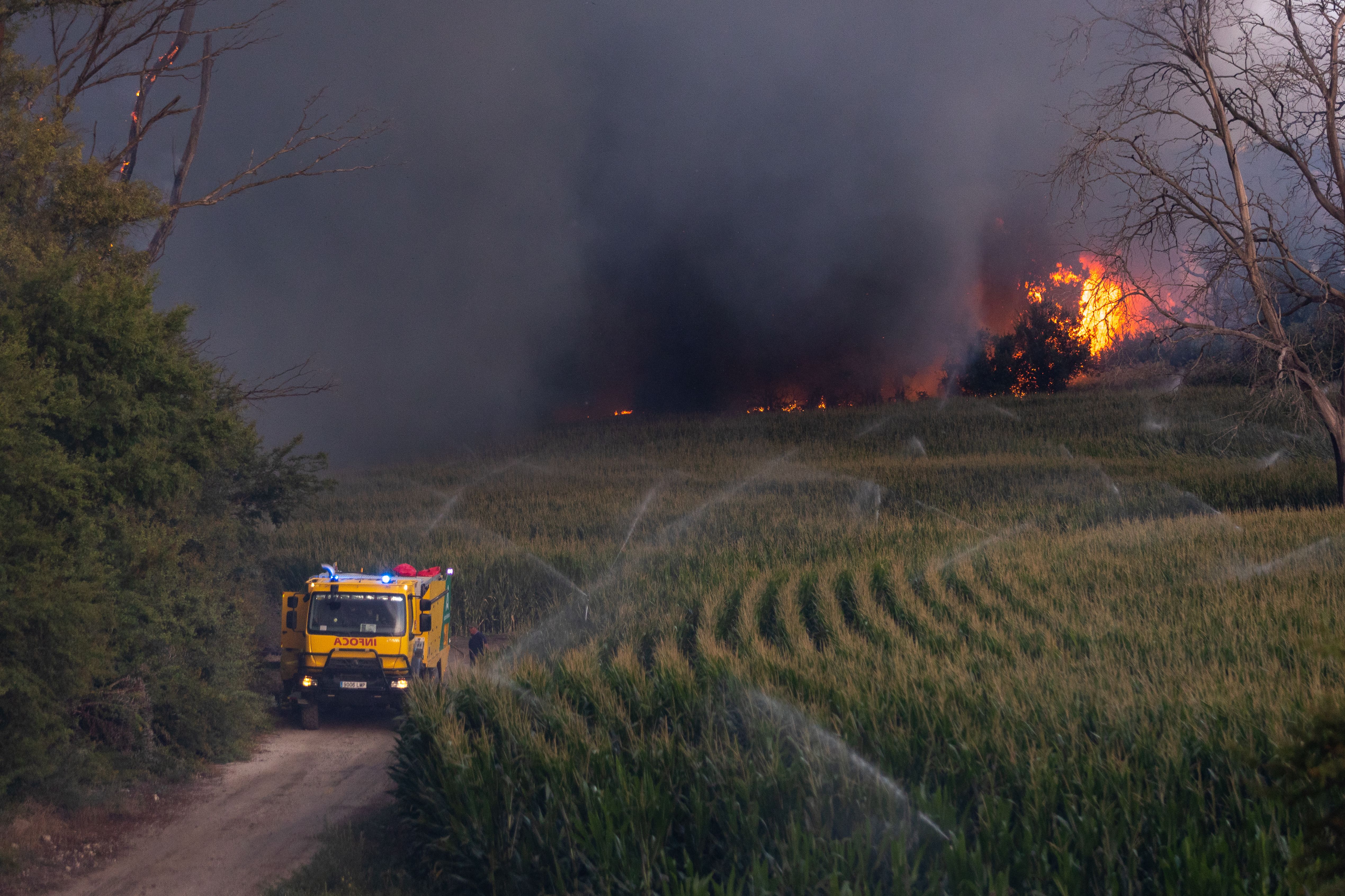 Uno de los incendios declarados en Jerez, hace unas semanas, cuando se calcinaron varias hectáreas.