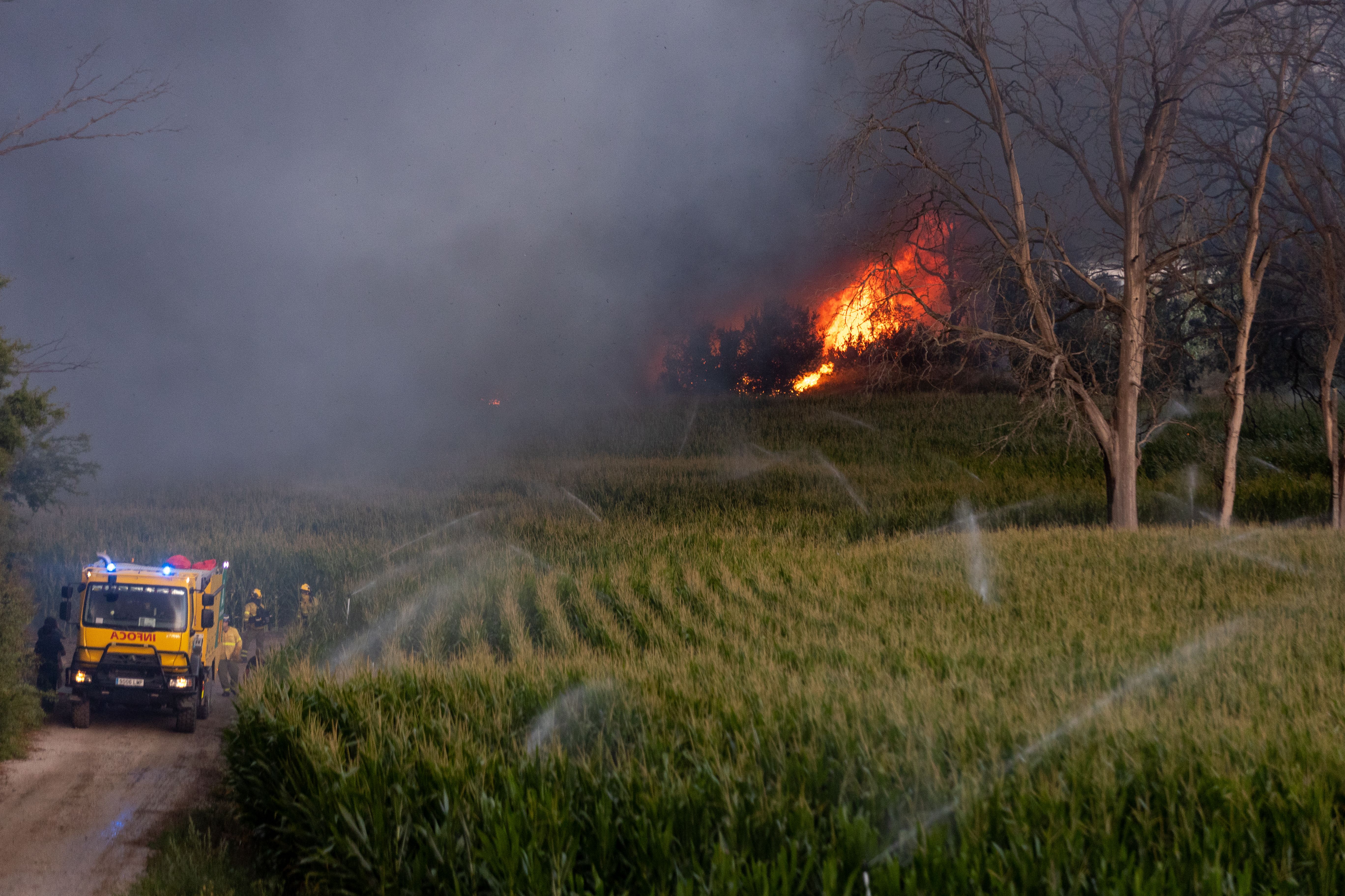Las llamas se propagan por el viento.