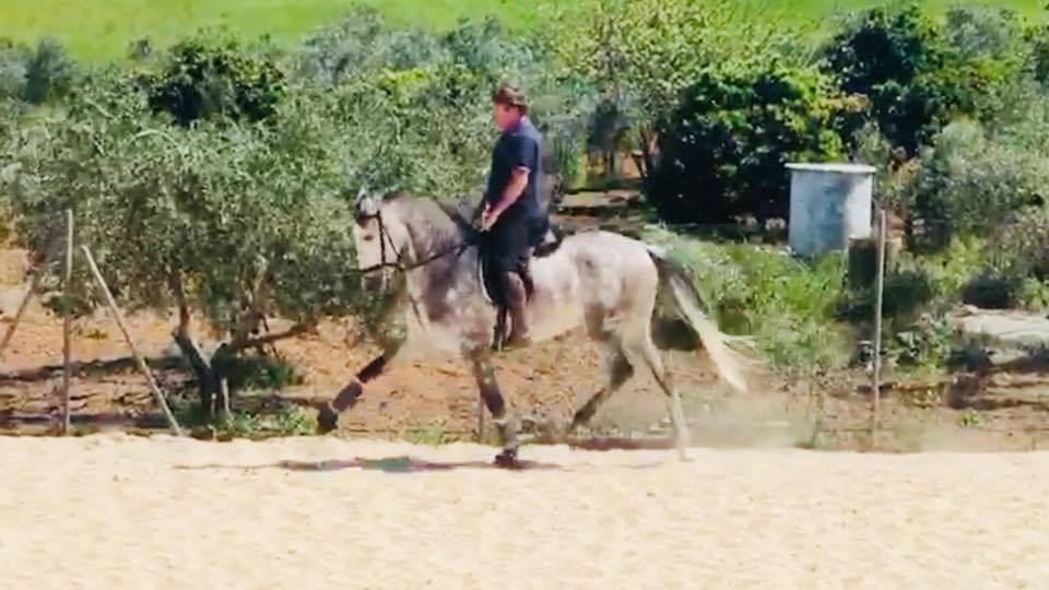 Jesús Grandes-Melgarejo paseando a caballo. 