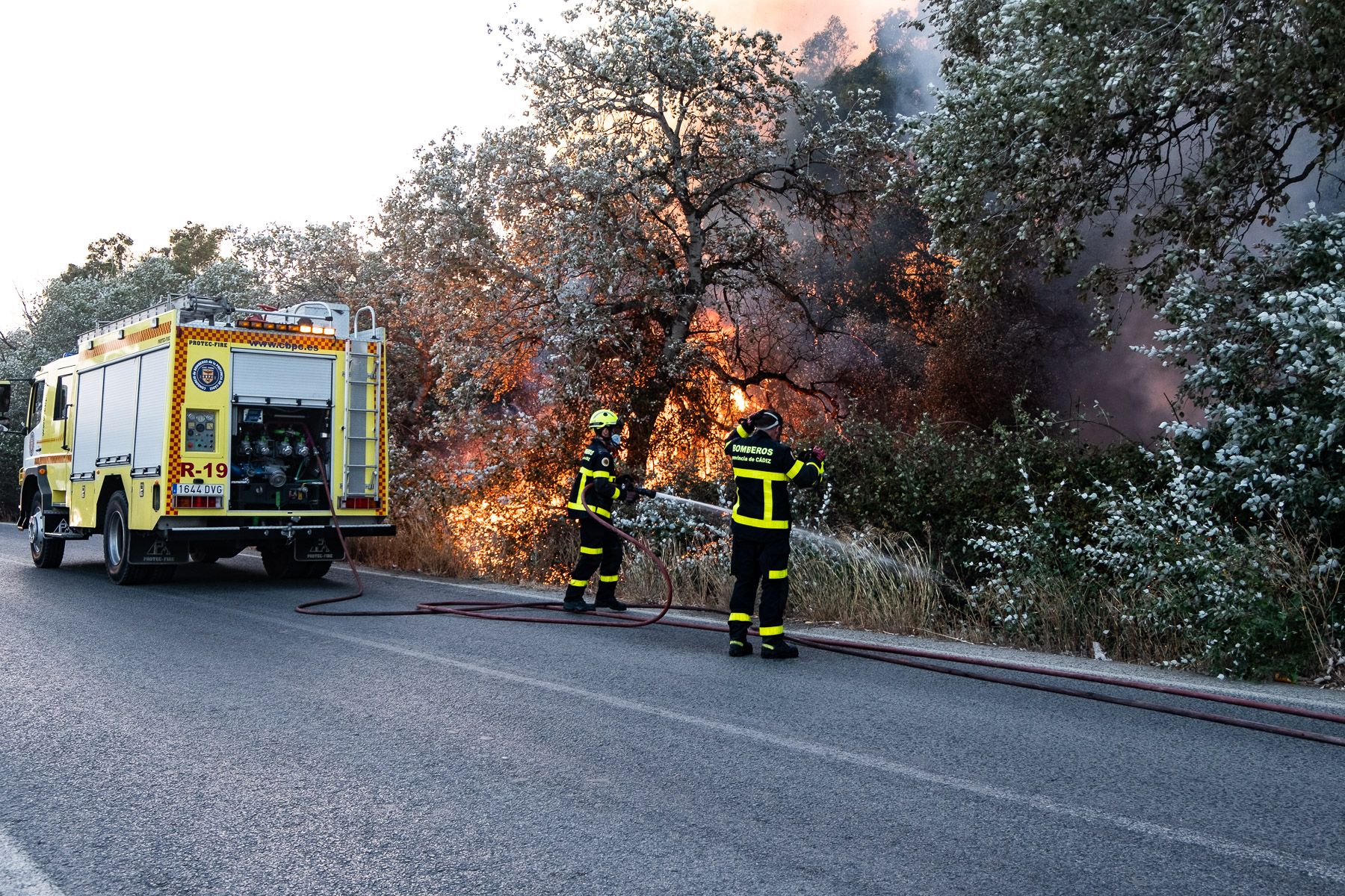 Bomberos, trabajando en las labores de extinción. 