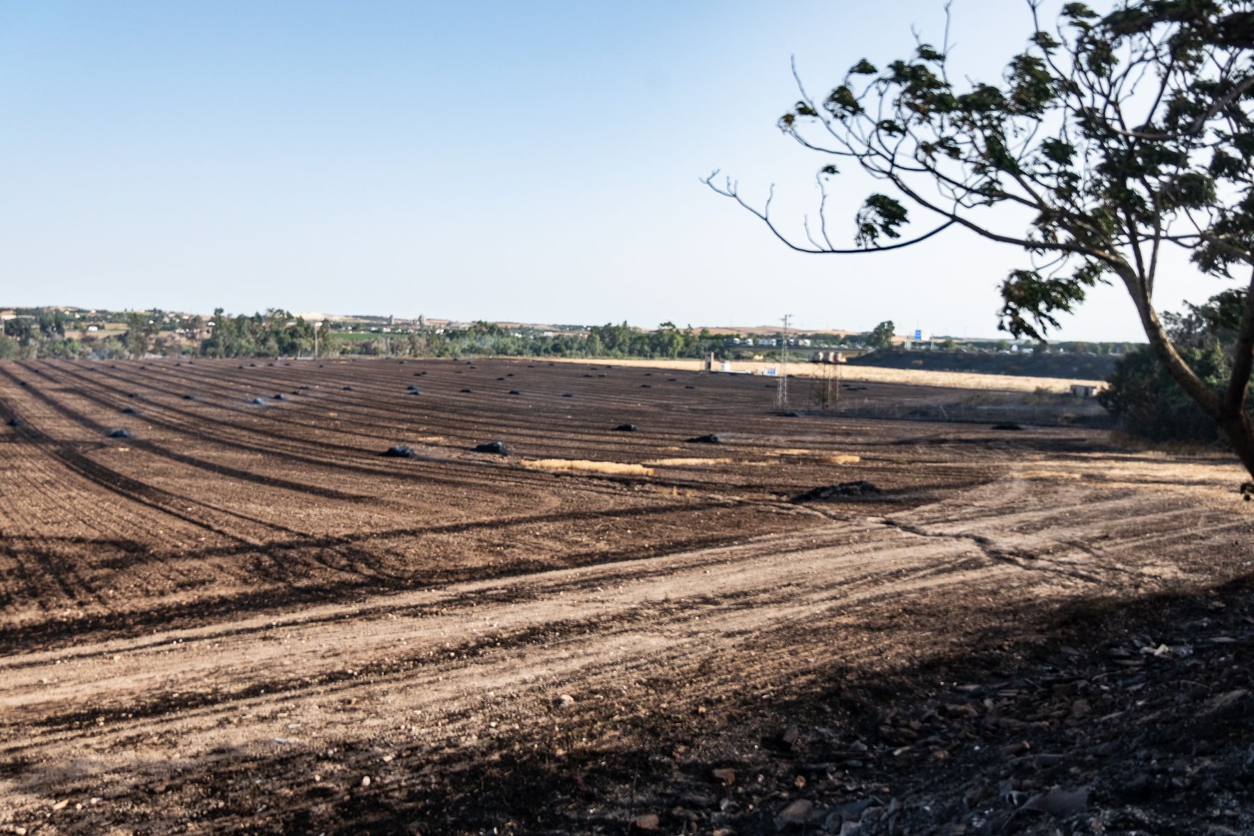 El fuego ha arrasado con todo en Lomopardo.