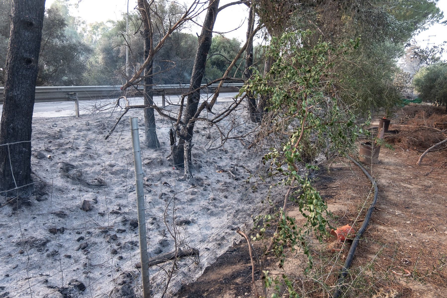 Todo convertido en ceniza.