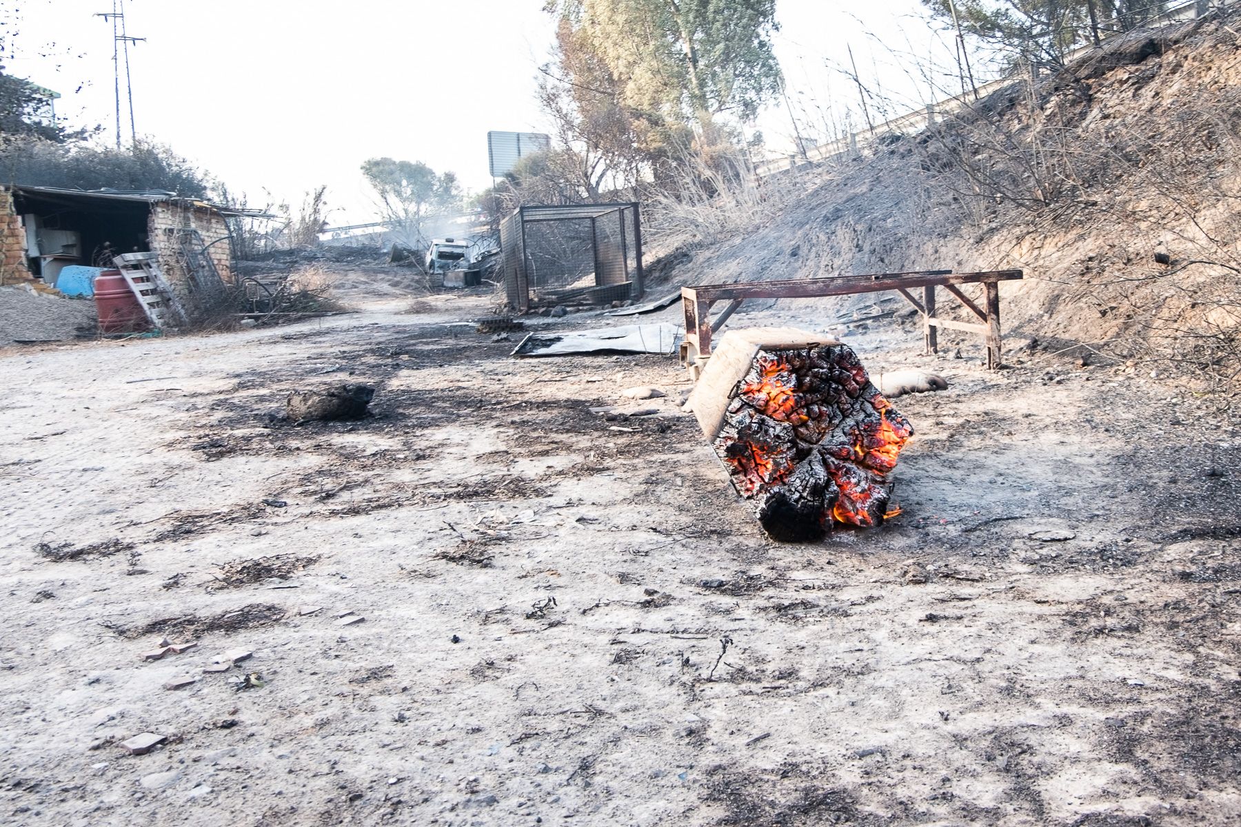 El incendio de Lomopardo y La Cartuja ha arrasado con todo a su paso.