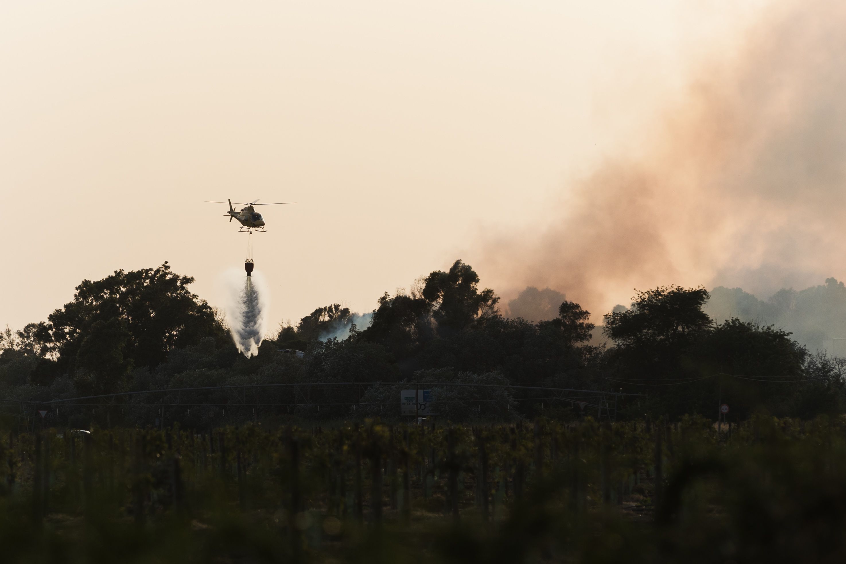 Imagen de archivo de un avión apagando el fuego en el entorno de Viveros Olmedo.