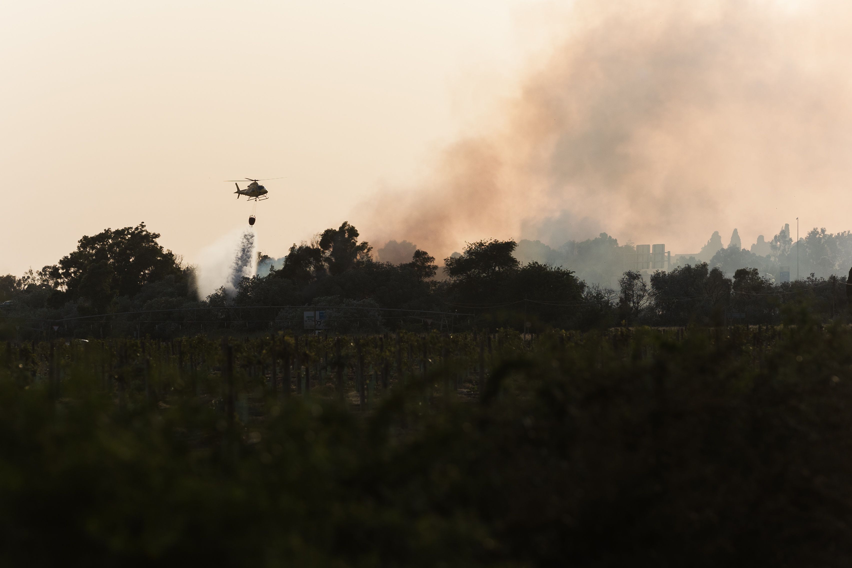 Verano del '22: nos asamos.