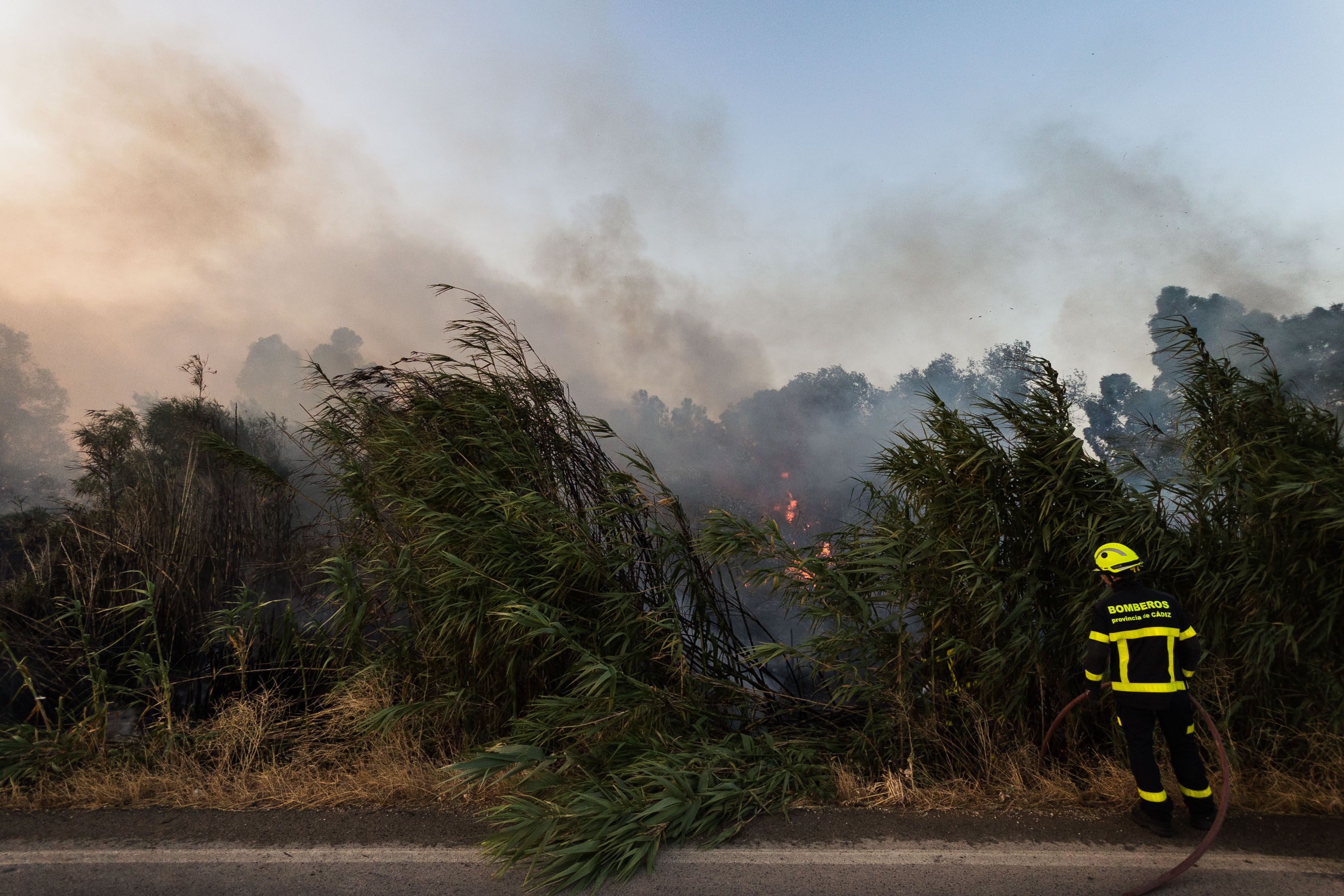 Una de las imágenes del incendio en la zona rural de Jerez. La humanidad se enfrenta a un "suicidio colectivo"