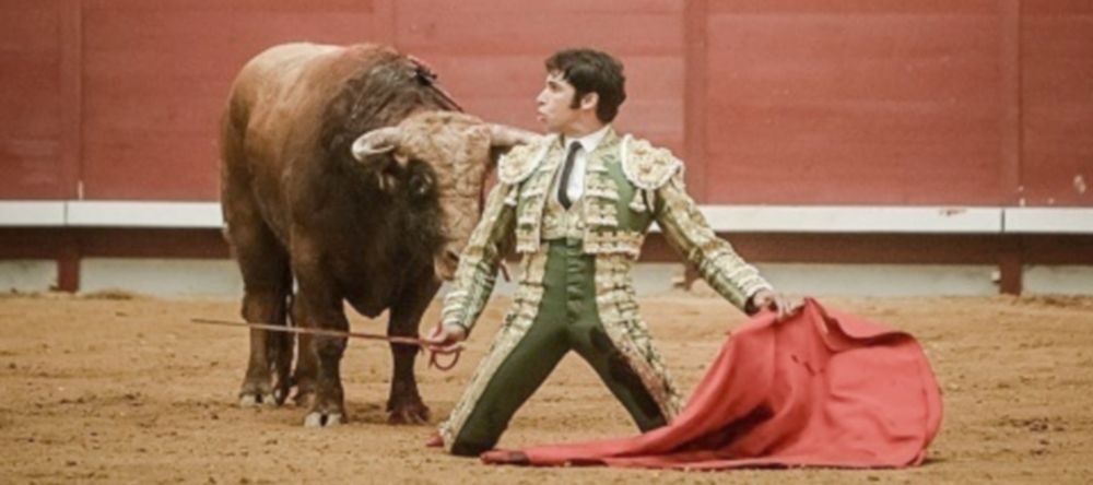 Cayetano Rivera en el ruedo. Foto: torrejonnoticias.es
