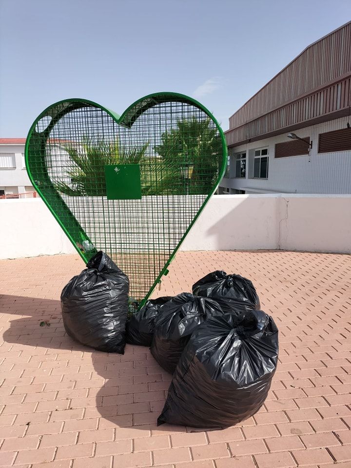 Corazón donde han encontrado agujas de insulina.