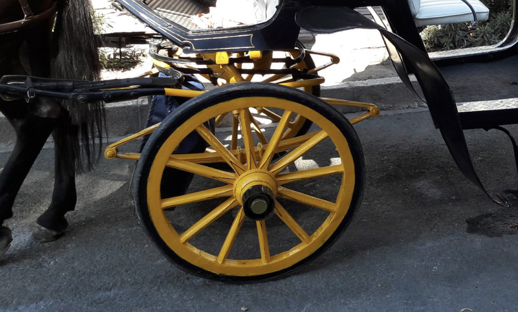 Un carruaje de caballos en Málaga, en una imagen de @cocherosmlg en Twitter.