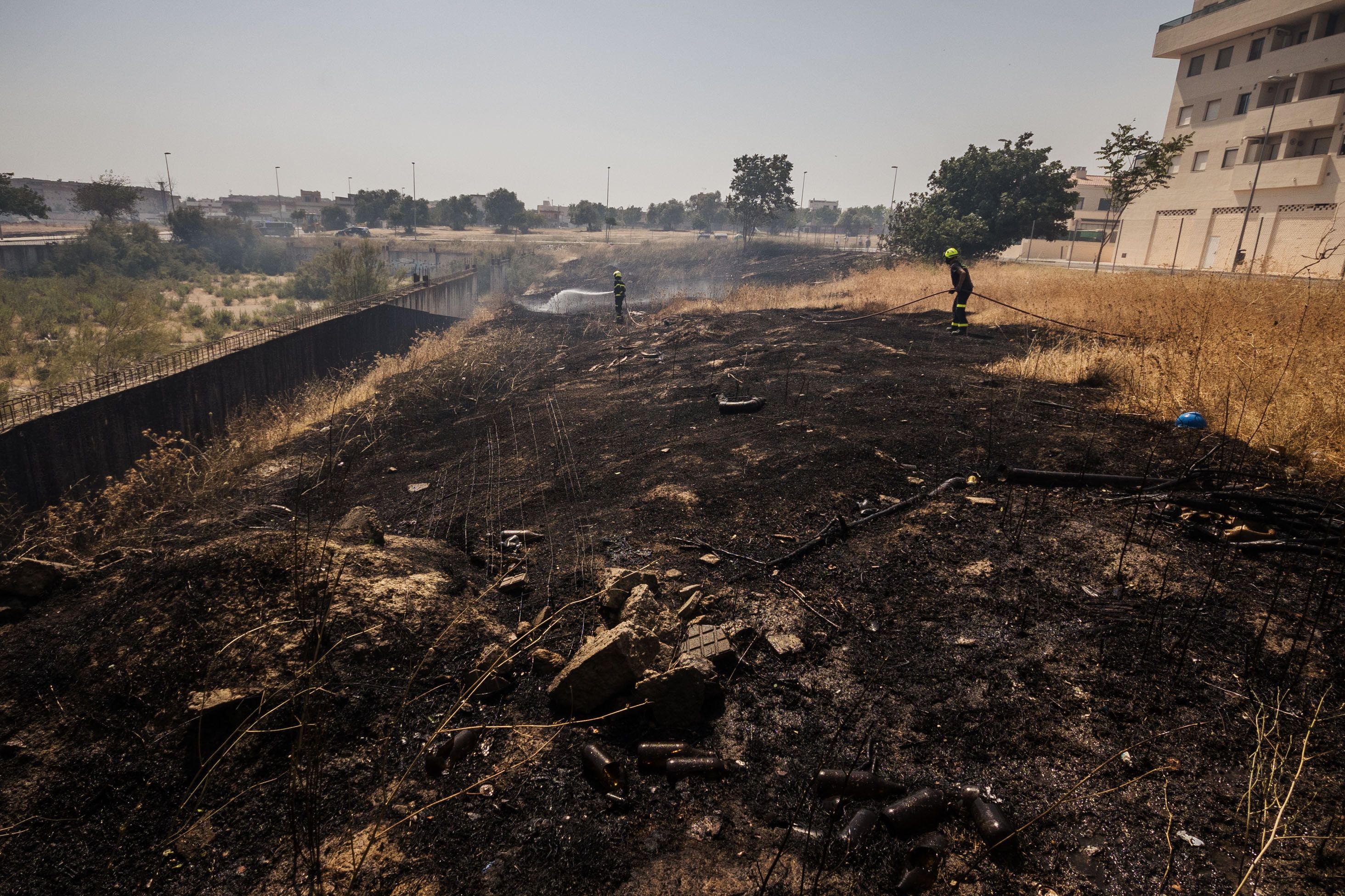 Una imagen desoladora. 