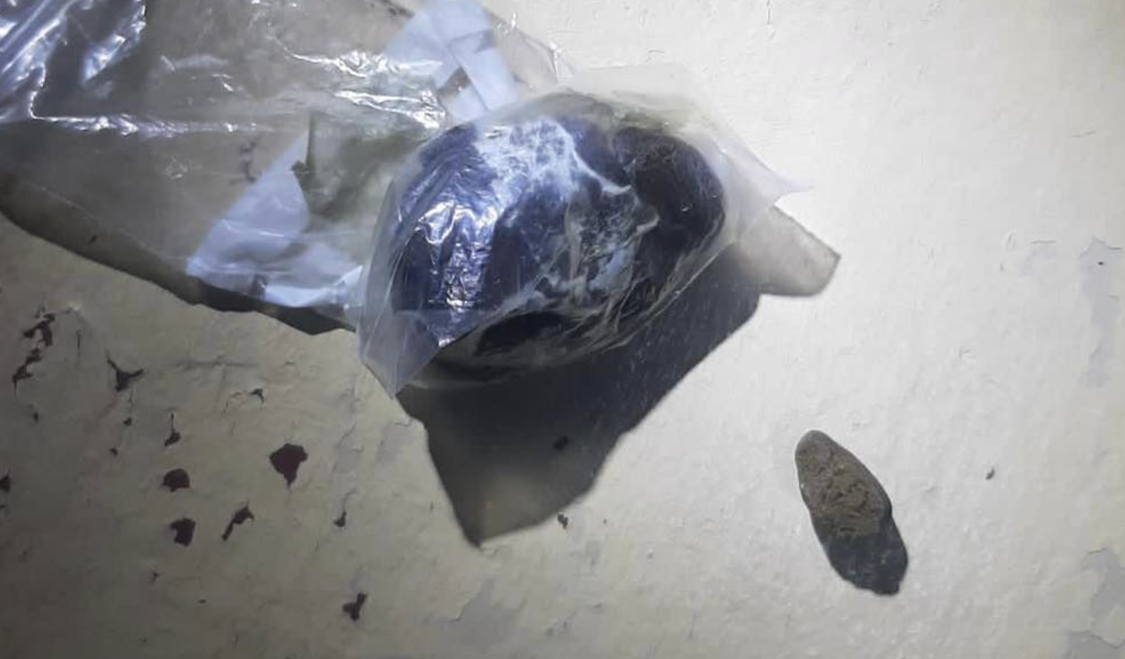 Excrementos de perro junto a la droga incautada a un vecino de Chipiona.