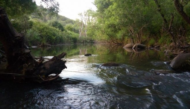 Uno de los rincones del parque natural que puede disfrutar el senderista que se aloja en Los Gazules.
