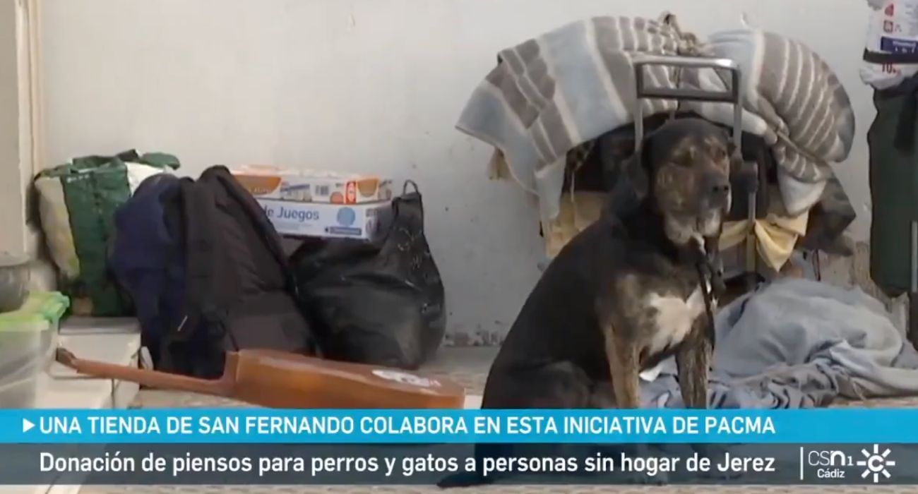Una tienda de mascotas de San Fernando reparte pienso para las mascotas de las personas sin hogar. 