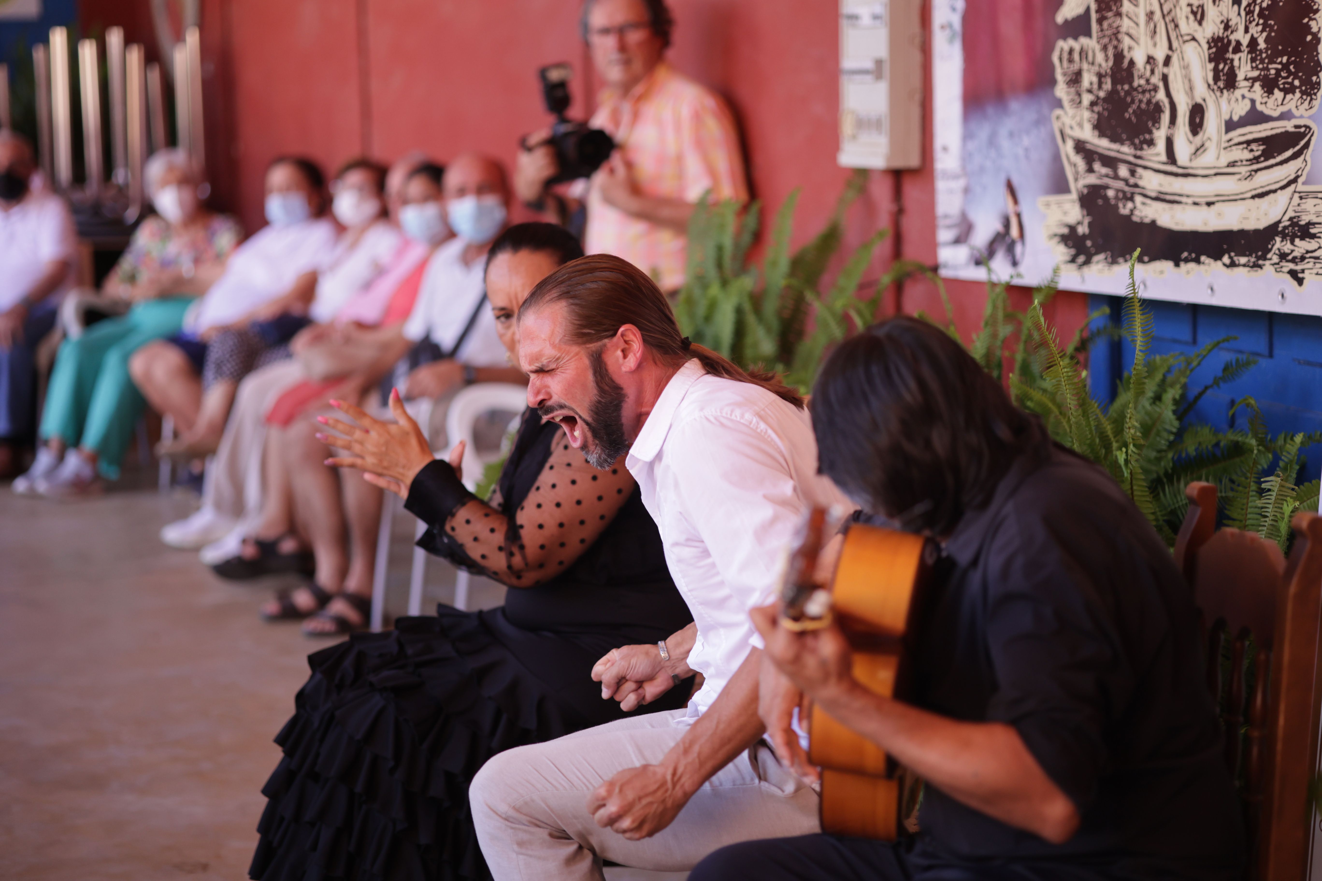 Actuación de flamenco en el patio de la peña ubicada en El Puerto.