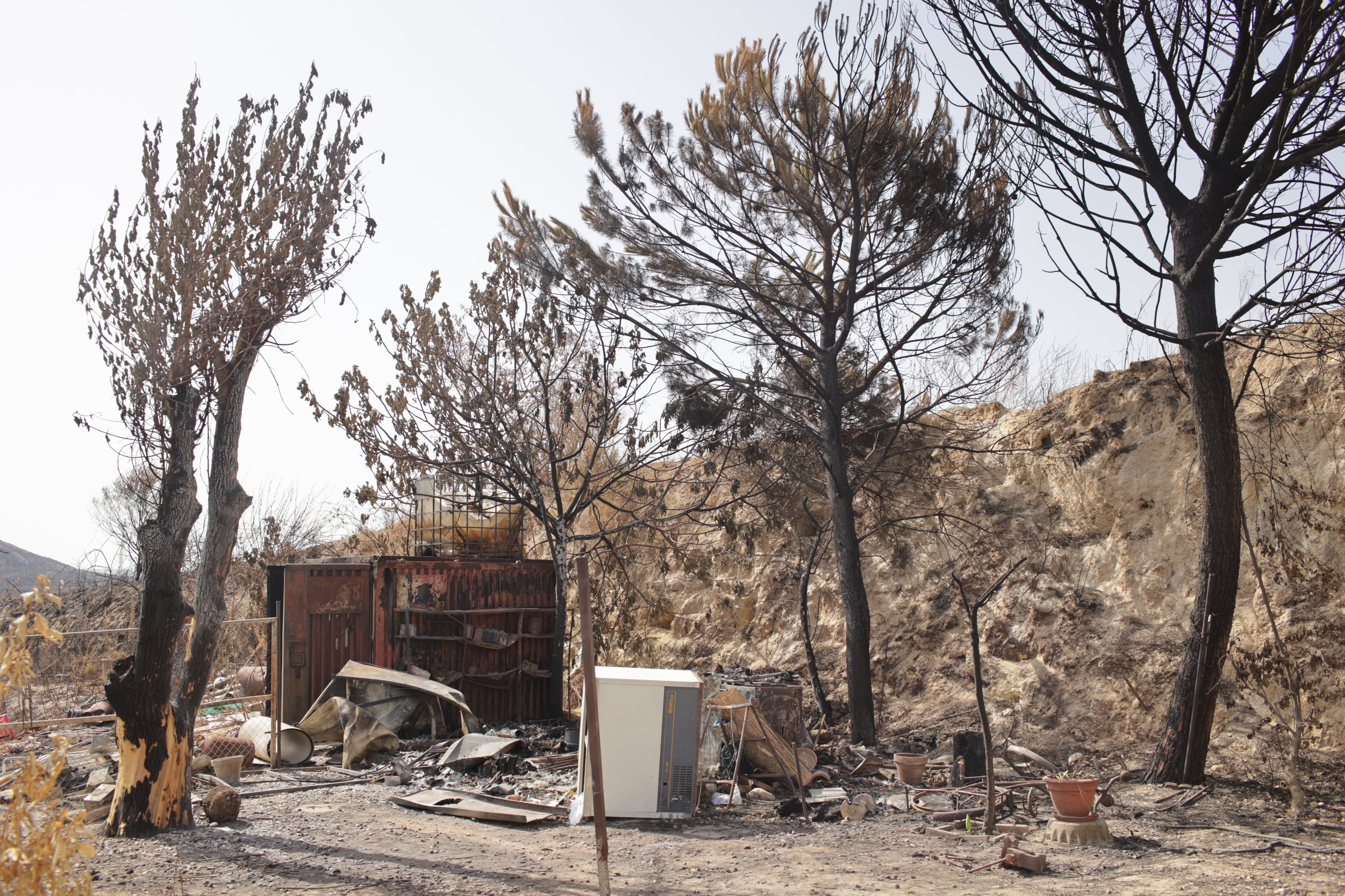 Una de las imágenes que dejó el fuego a su paso por La Teja. Los incendios siguen pendientes del informe final de la Guardia Civil.