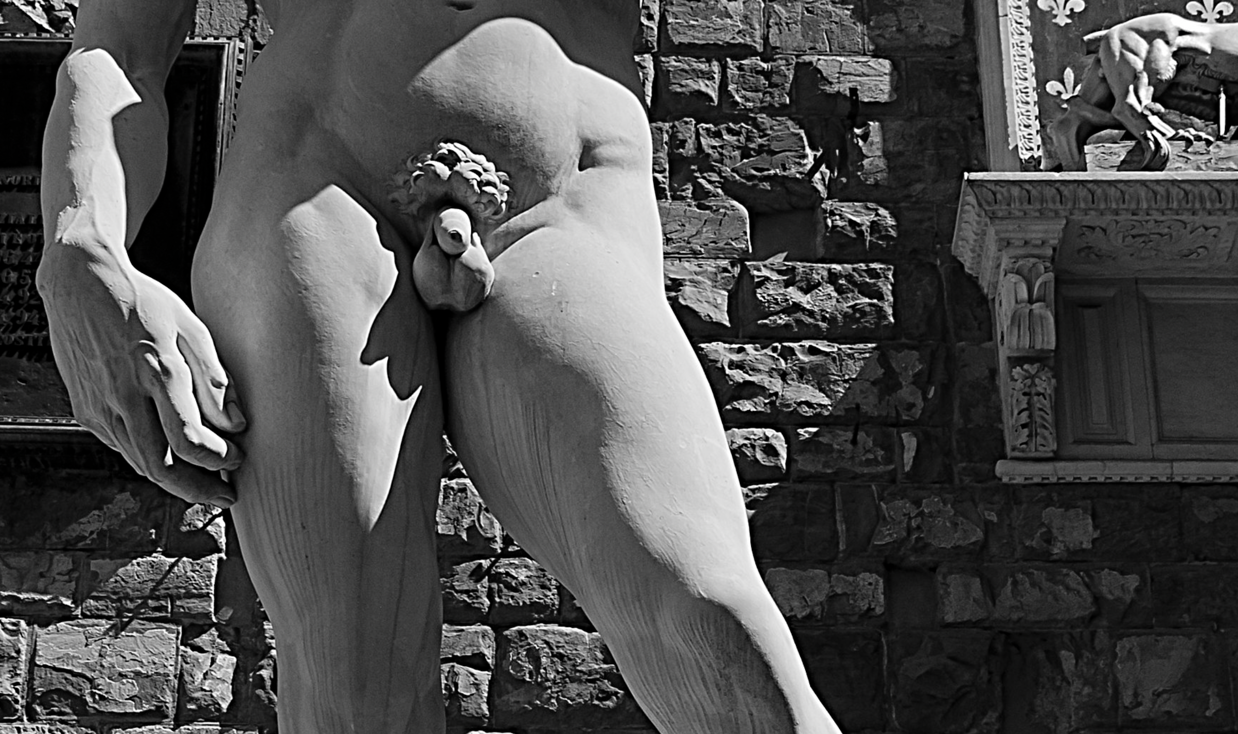 Micropenes y otros rellenos. En la imagen de Cleo Nicole, el pene del David de Miguel Ángel.