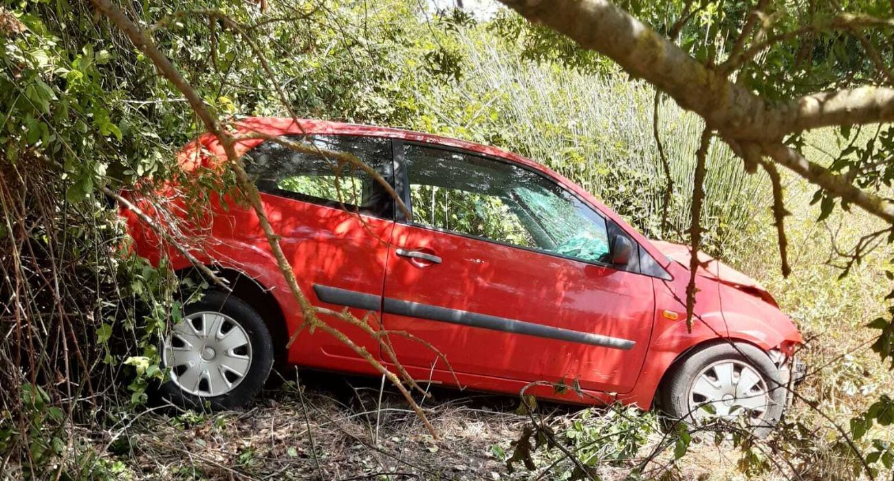El vehículo accidentado tras chocar contra un árbol.