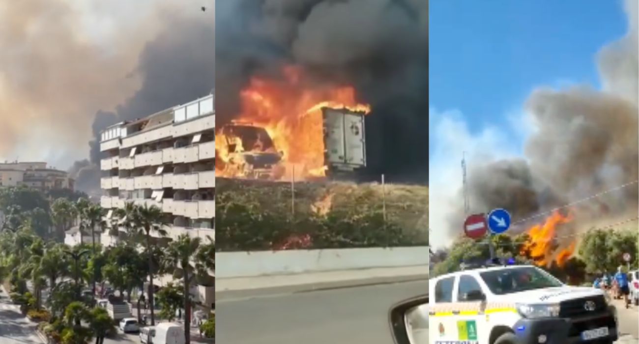 Algunas de las imágenes que ha dejado la tarde de terror en la provincia de Málaga por los incendios.