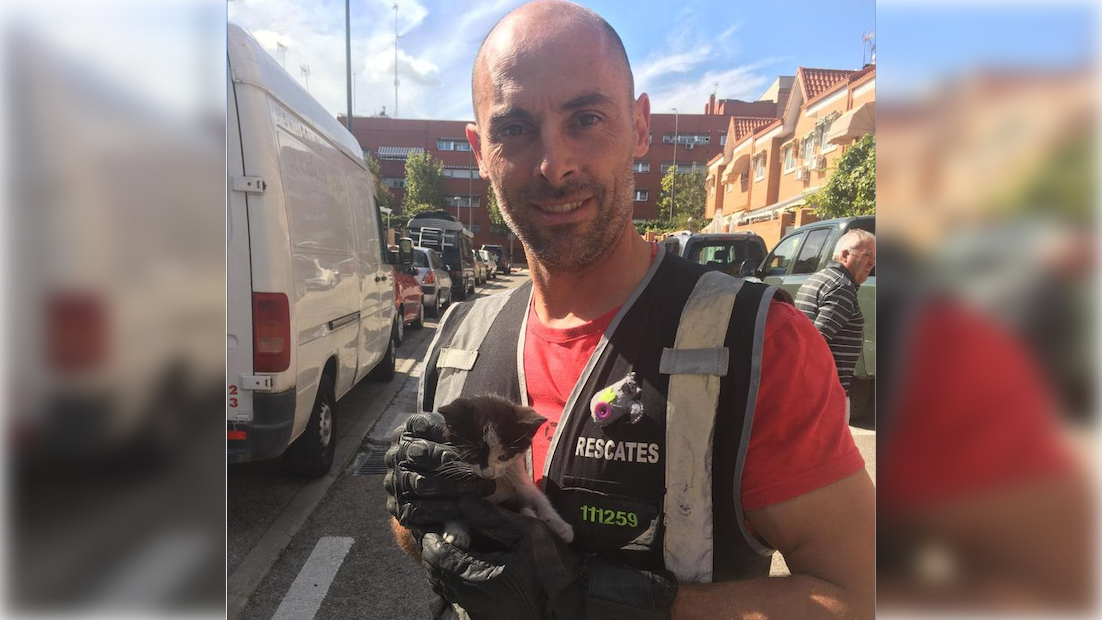 Alberto, el bombero arrollado mortalmente por un conductor, con uno de los muchos gatos que ha rescatado.