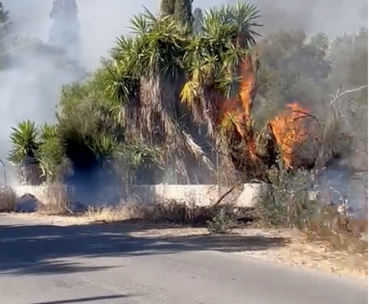Otro incendio en la zona rural de Jerez: arden pastos y árboles entre La Barca y Majarromaque. Otro incendio en la zona rural de Jerez: arden pastos y árboles entre La Barca y Majarromaque.