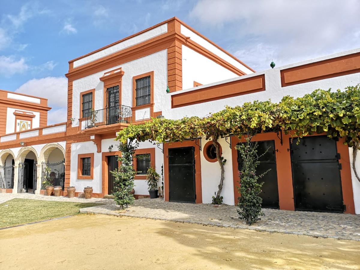 El puerto enseñará la tradición de la vendimia a los niños en el Pago Bilbaína Alta