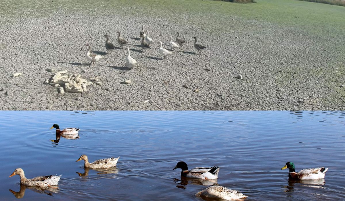 En la primera foto, estado actual de la laguna de la Rana Verde en Chiclana, en la segunda, apariencia en primavera.