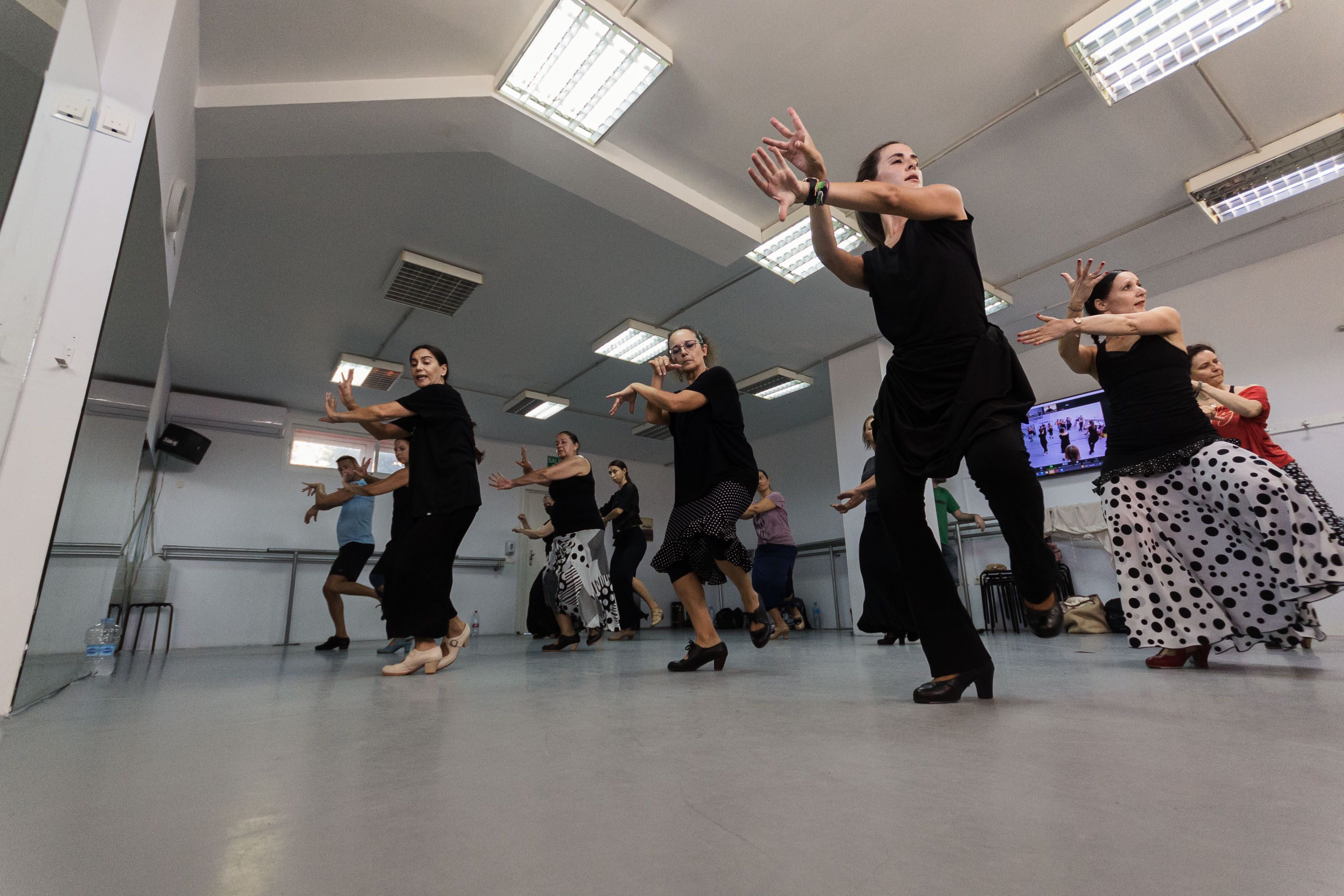 El Centro de Baile de Jerez ofrece cursos intensivos de flamenco en verano impartidos por artistas de primera fila.